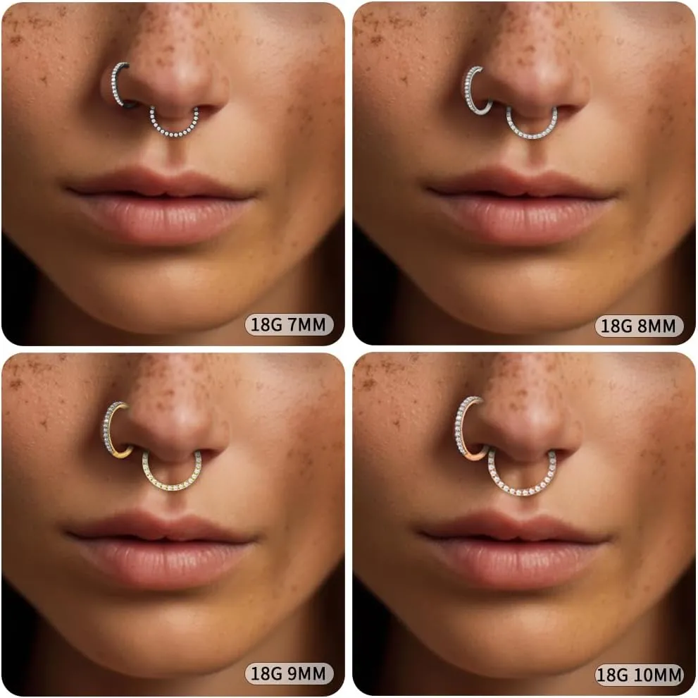 2pcs Nose Rings Hoop - 316L Surgical Steel Septum Jewelry Hinged Segment Rings -16 Gauge Women Body Piercing Nose Hoops Lip Rings Ear Cartilage Tragus Daith 8mm/9mm/10mm/11mm/12mm