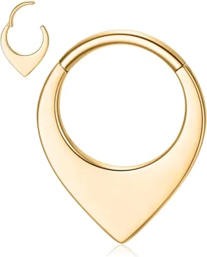 AROWRO Septum Jewelry 16G 316L Surgical Steel Septum Ring Nose Rings Hoops for Men Women Septum Piercing Jewelry Daith Earring Cartilage Tragus Rook Ear Lobe Piercing Jewerly