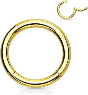 BodyJewelryOnline 316L Surgical Steel PVD Gold 20G 18G 16G 14G 12G 10G Hinged Clicker Segment Rings Septum Nose Hoop Daith Cartilage Sleeper Earrings Piercing Jewelry 6mm 8mm 10mm 12mm