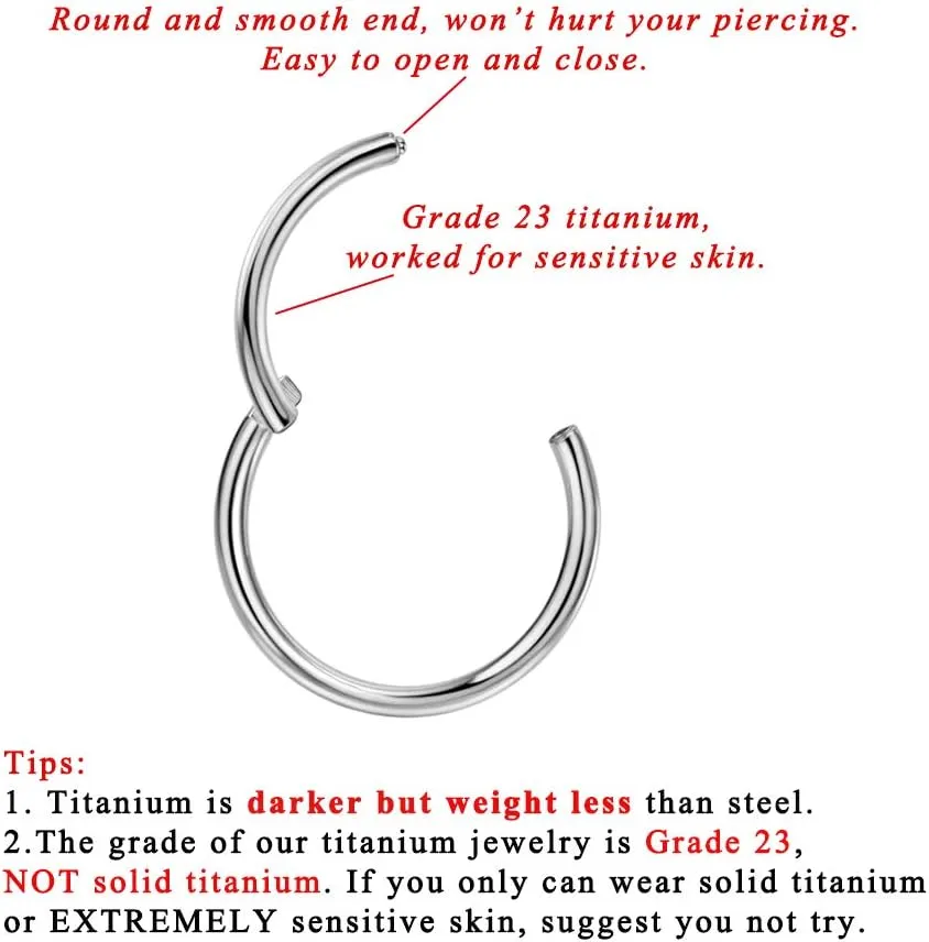 FANSING G23 Titanium Hinged Piercing Rings Hoop