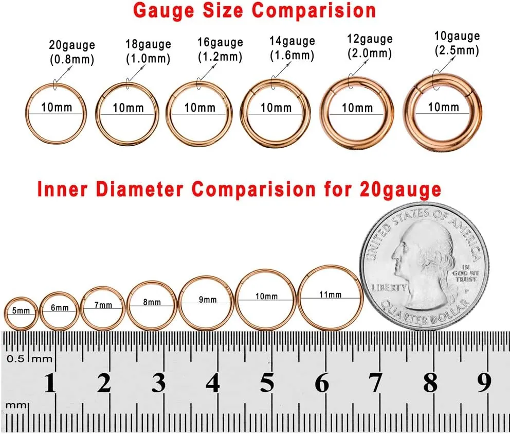 FANSING Men Women 316L Surgical Steel Hinged Nose Rings Hoop for Nostril Septum Cartilage Helix Daith Tragus Rook Conch Lip Ear Lobe Piercings