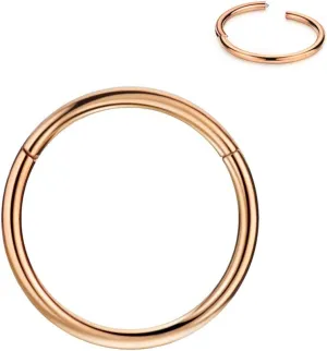 FANSING Men Women 316L Surgical Steel Hinged Nose Rings Hoop for Nostril Septum Cartilage Helix Daith Tragus Rook Conch Lip Ear Lobe Piercings