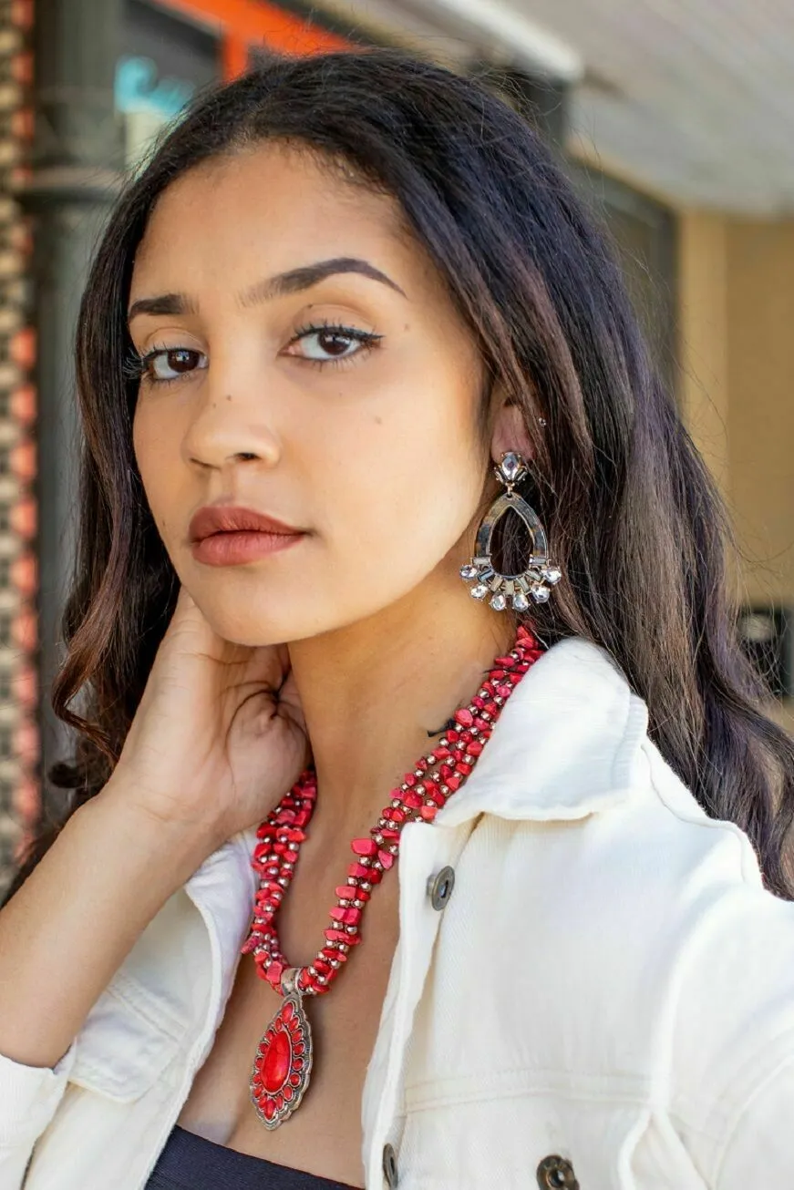 L And B Leopard Resin Earrings With Rhinestones