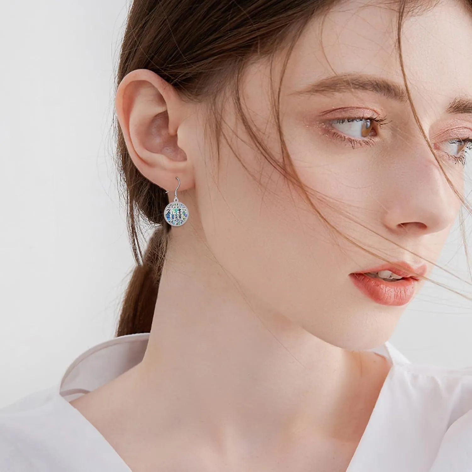 YFN Sister Earrings Gifts from Sister, Sterling Silver Crystal Sister Earrings Jewelry, Birthday Jewelry Gift for Sisters